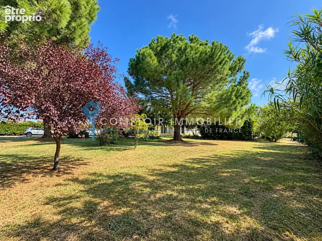 A vendre dept 30 (gard) propriete sur le cailar avec grand terrain - photo 3