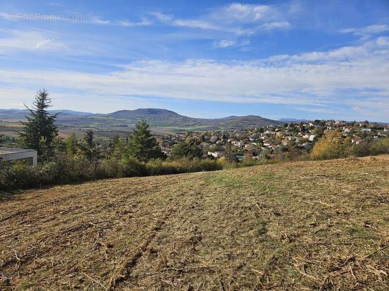 Terrain à VEYRE-MONTON