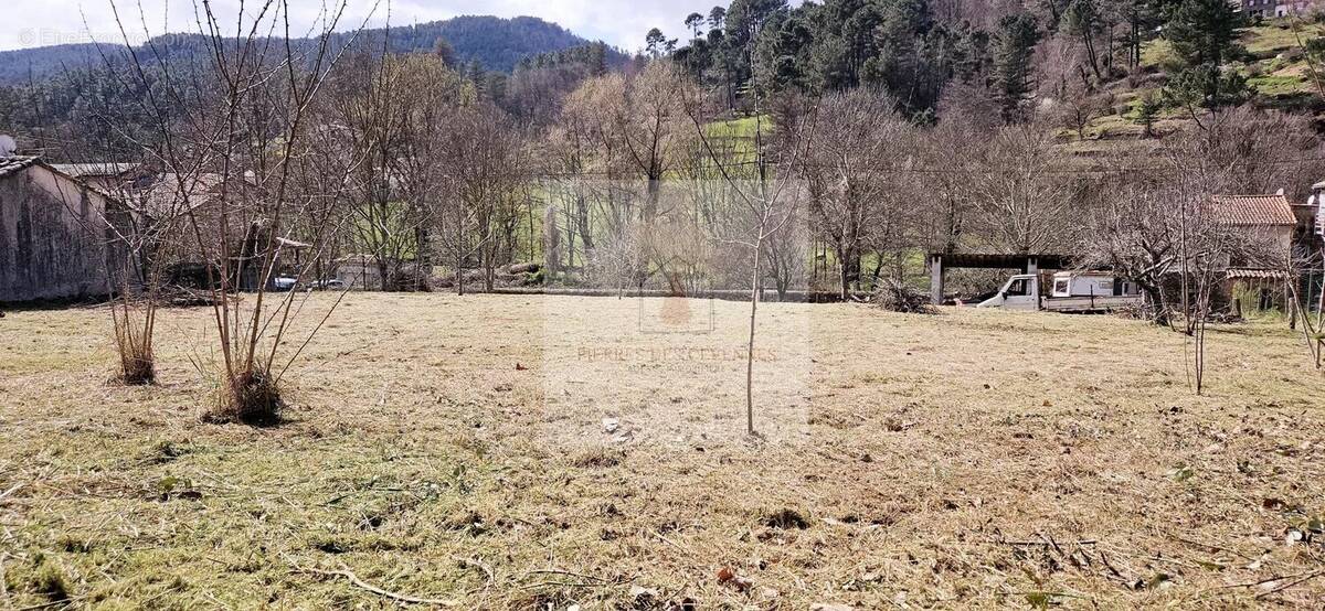 Terrain à CHAMBORIGAUD