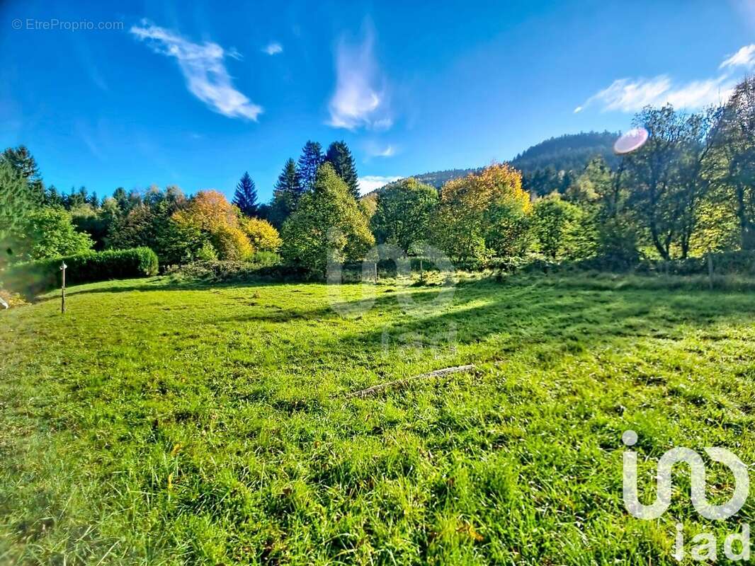 Photo 6 - Maison à ALLARMONT