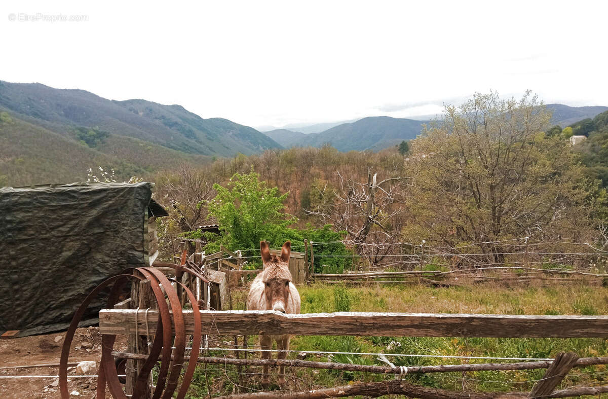 Maison à SAINT-ROMAN-DE-CODIERES