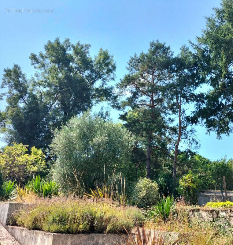 Photo 7 - Maison à VOUILLE