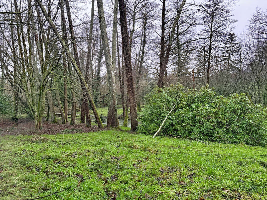 Maison à SAUSSEMESNIL