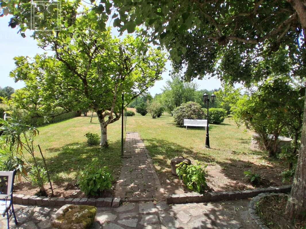 Maison de campagne sur 4794 m² de terrain - photo 11