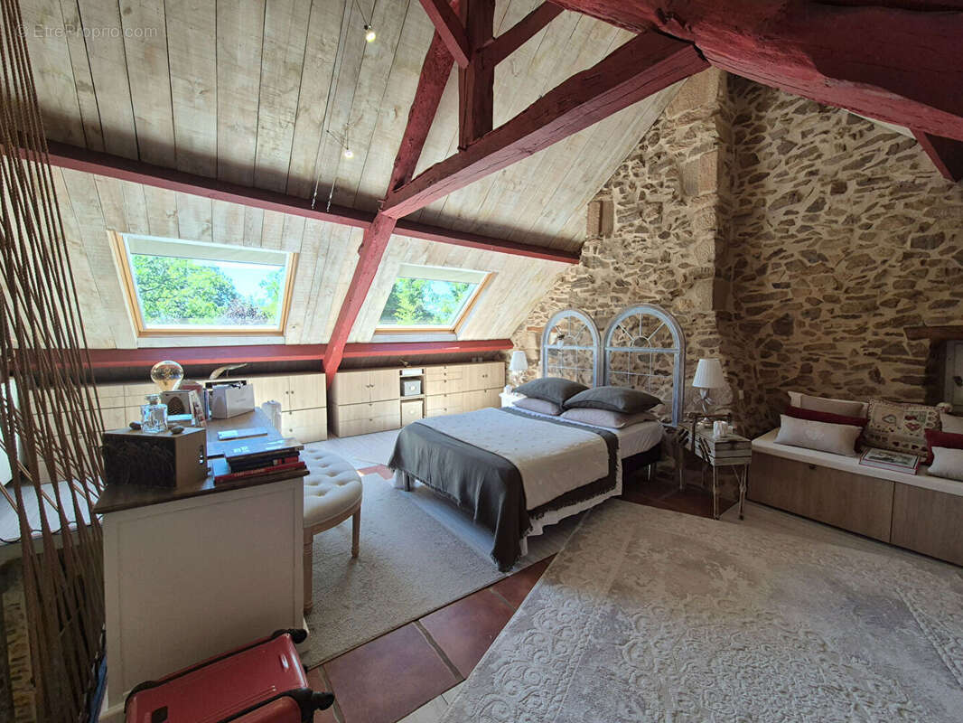 CORRÈZE. CHAMBOULIVE. Maison en pierre avec 6 chambres, piscine, 2 garages, abri voiture, entourée de jardins de 5 498 m² - photo 8