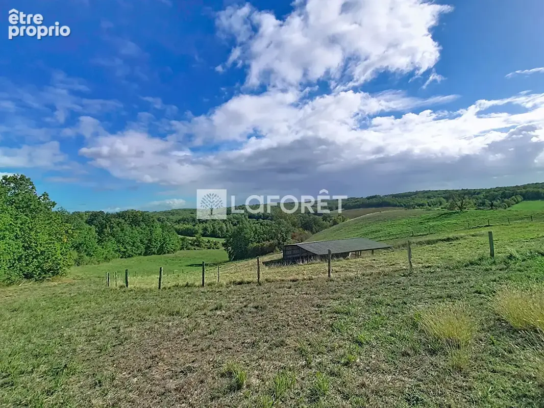 Propriété de 116 hectares !!! Monclar-de-Quercy - photo 5