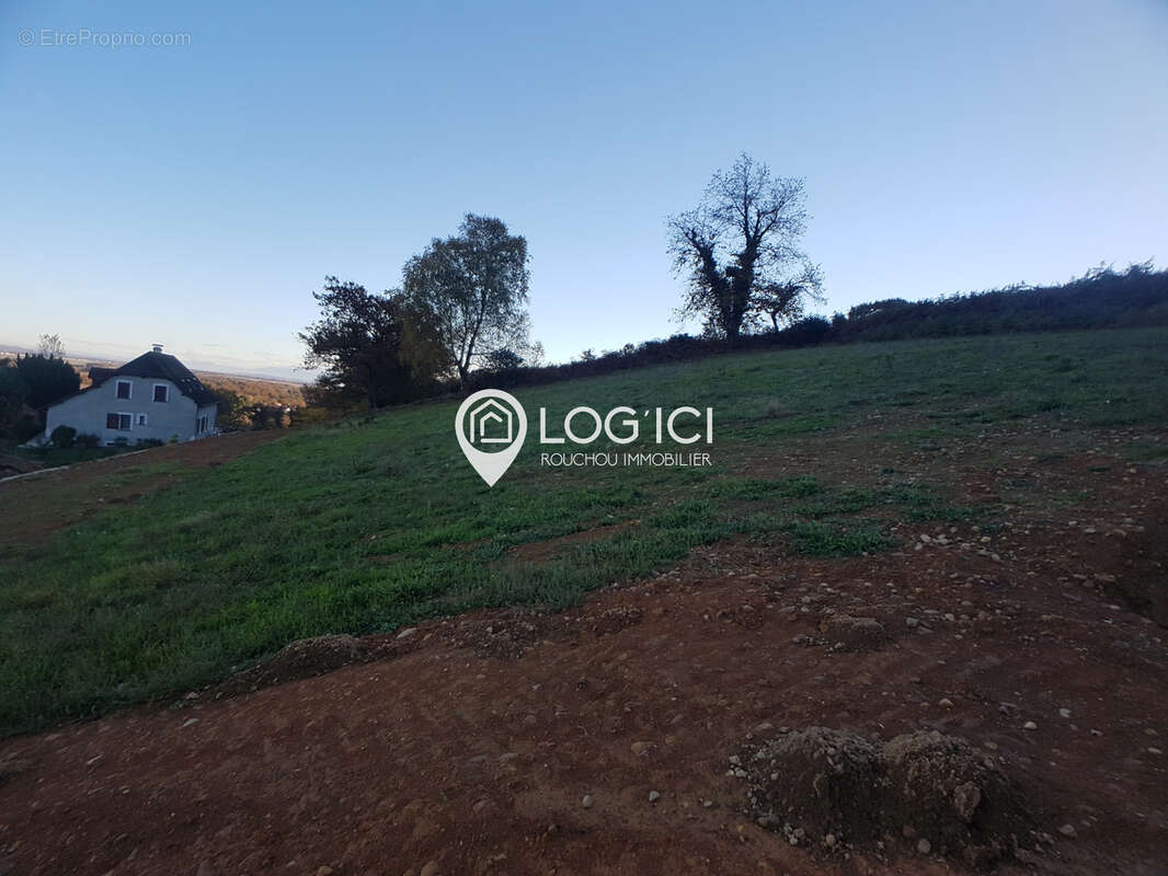 Terrain à VIELLENAVE-D'ARTHEZ