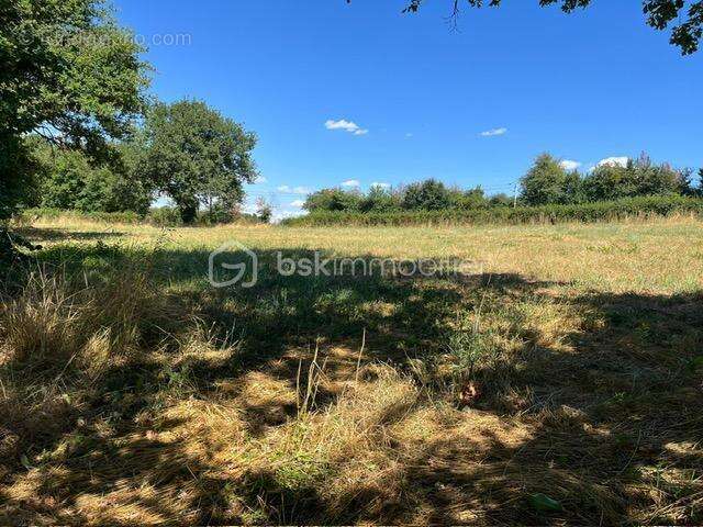 Terrain de loisir à vendre Bord de l'eau VIGEANT 86 - photo 2