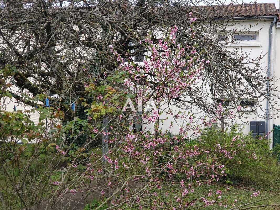 Maison à RUFFEC