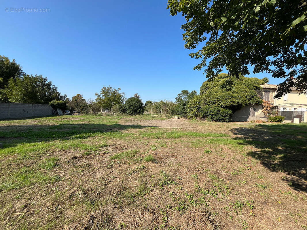 Photo 3 - Terrain à CHEVAL-BLANC