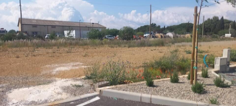 Terrain à SALLELES-D'AUDE