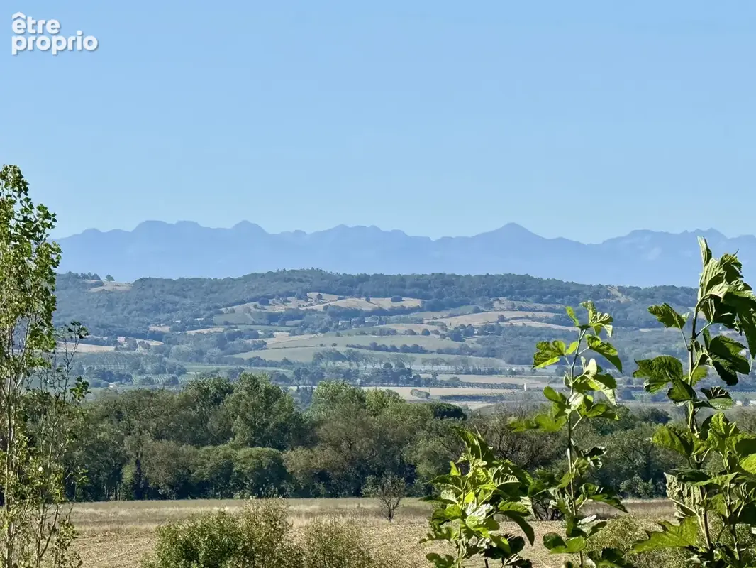 CARCASSONNE - Entièrement rénovée avec goût, 4.4 Ha de terrain et maison d'amis - photo 5