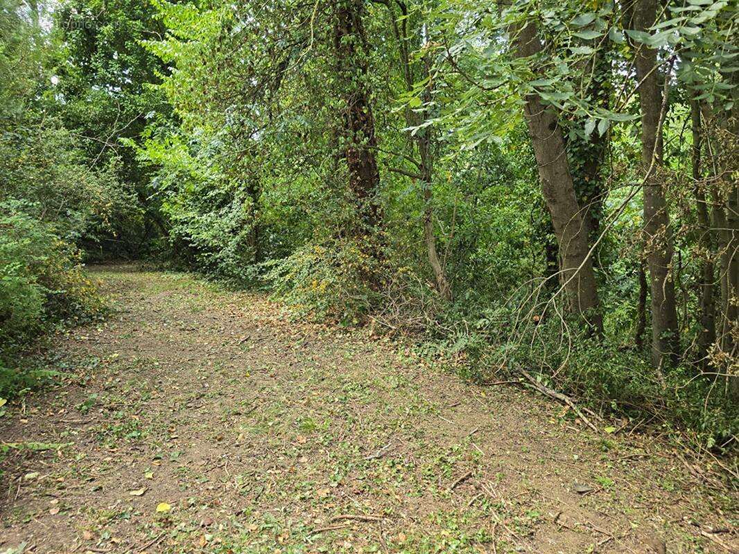 Terrain Palaiseau 853m² - possibilité création maison 140m² environ - photo 12