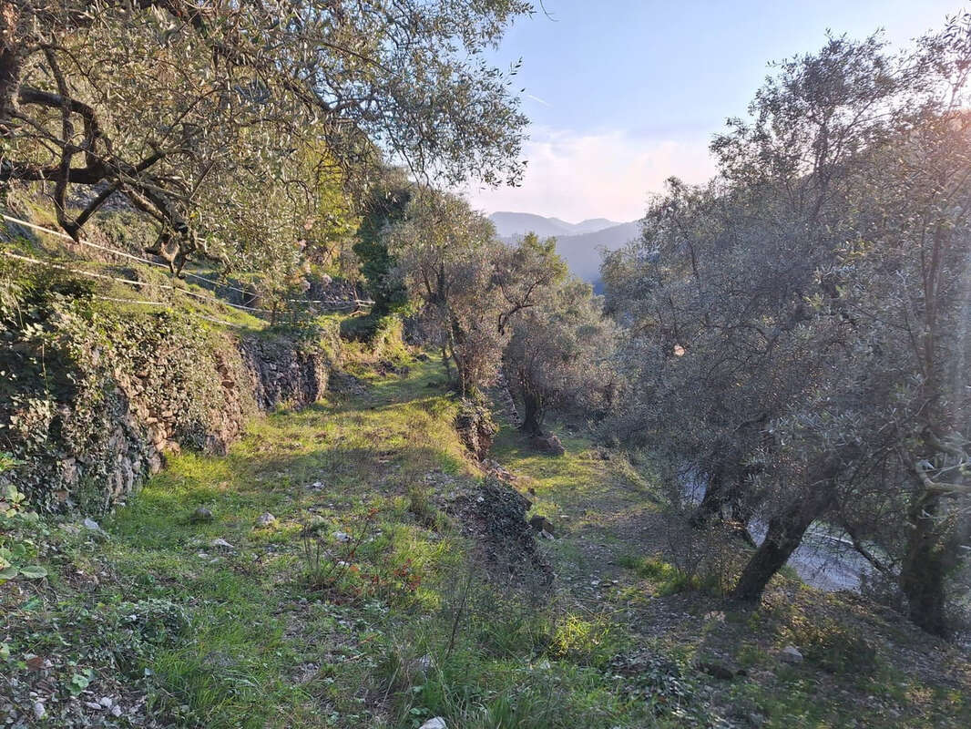 Maison à BREIL-SUR-ROYA