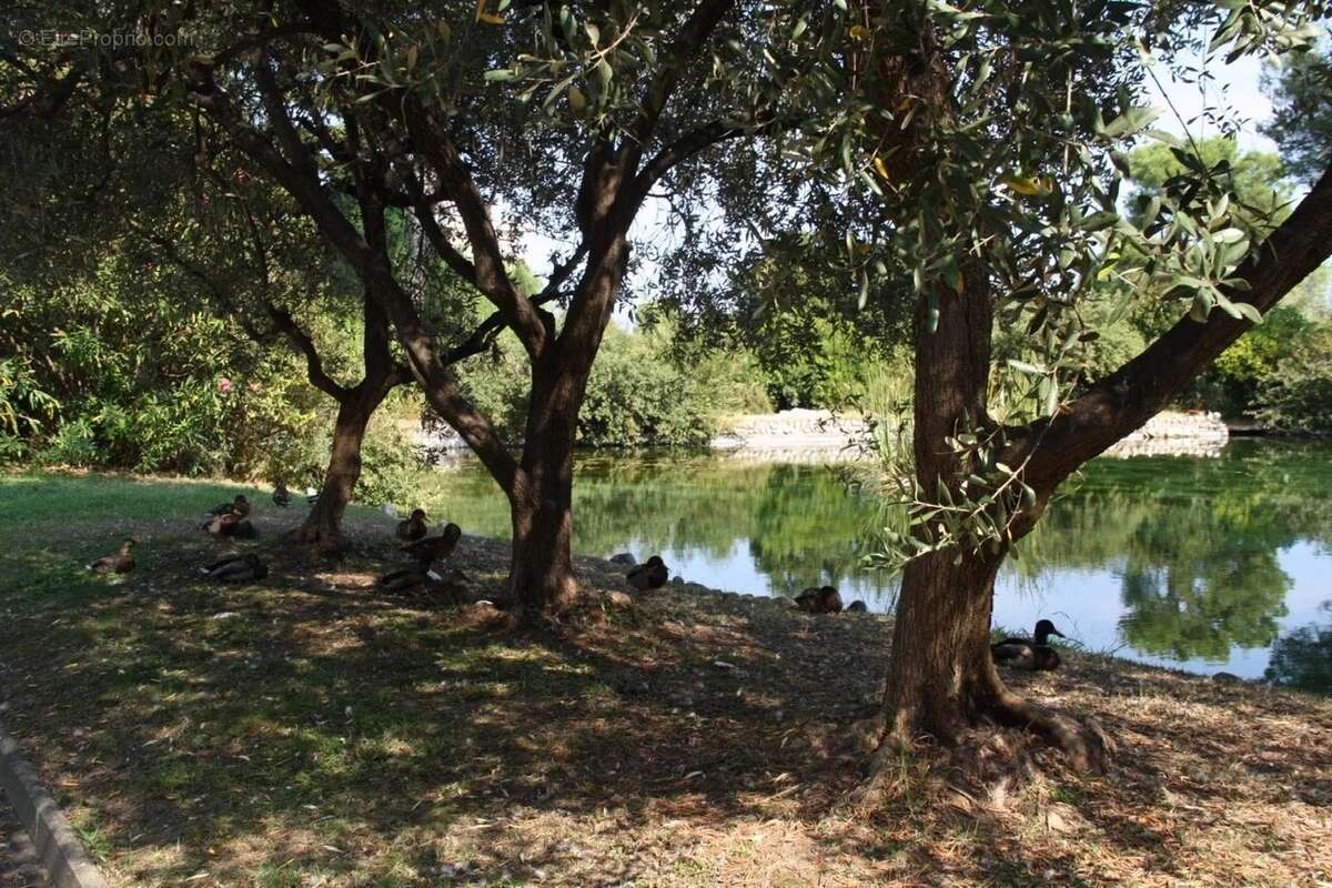 EXCLUSIVITE / 4P Domaine du Loup / Vue Parc et Mer - photo 23