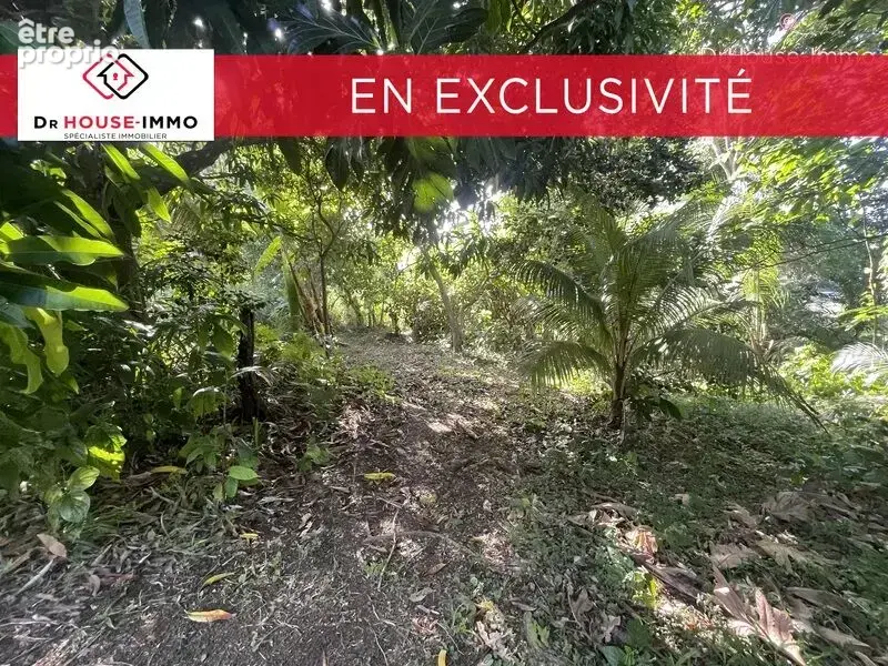 Terrain 1 232 m² à vendre à Sainte-Rose (97115) - photo 2