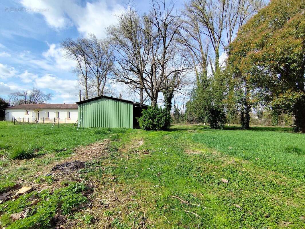 Photo 7 - Appartement à CASTELSARRASIN