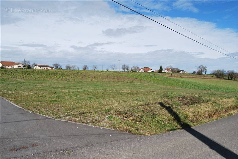 Terrain à ARZACQ-ARRAZIGUET
