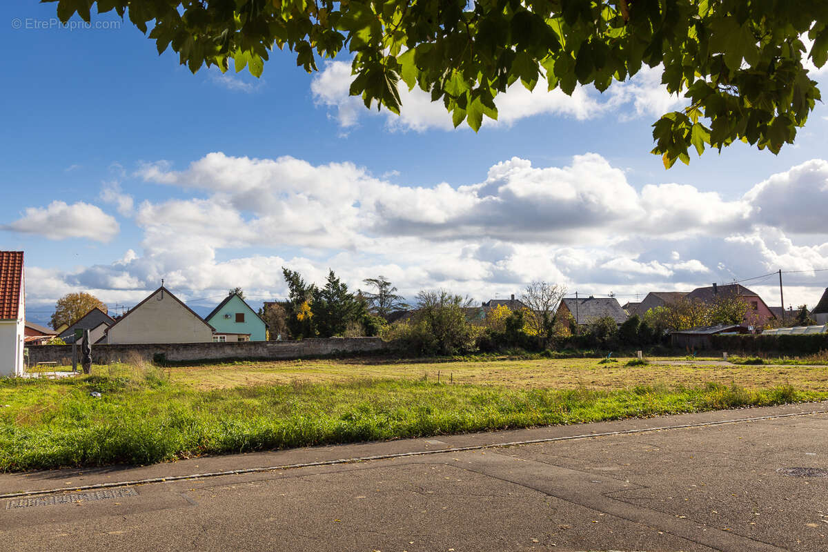 Terrain à BLODELSHEIM