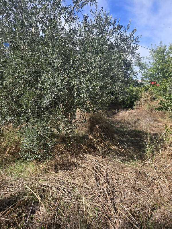 Terrain à MARSEILLE-14E