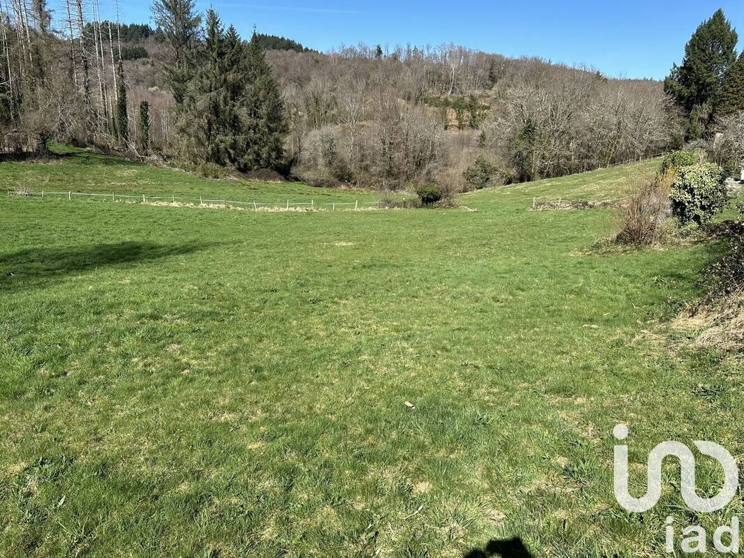 Photo 1 - Terrain à CORREZE