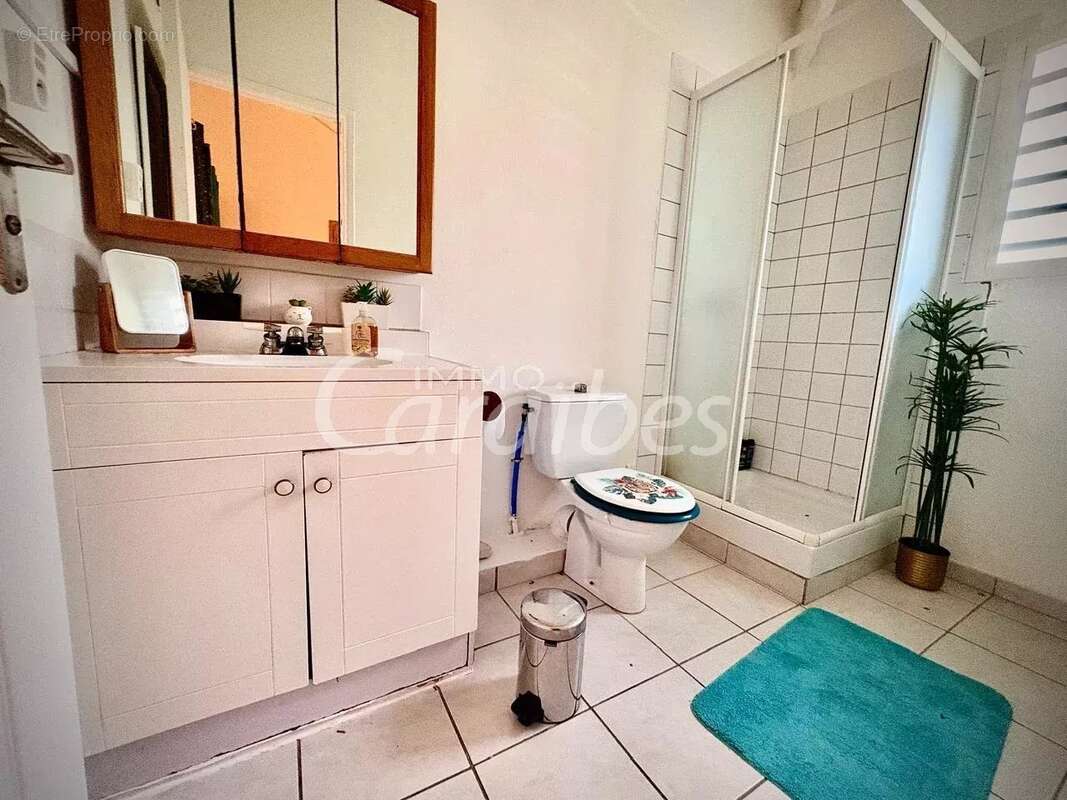 Appartement à SAINT-MARTIN