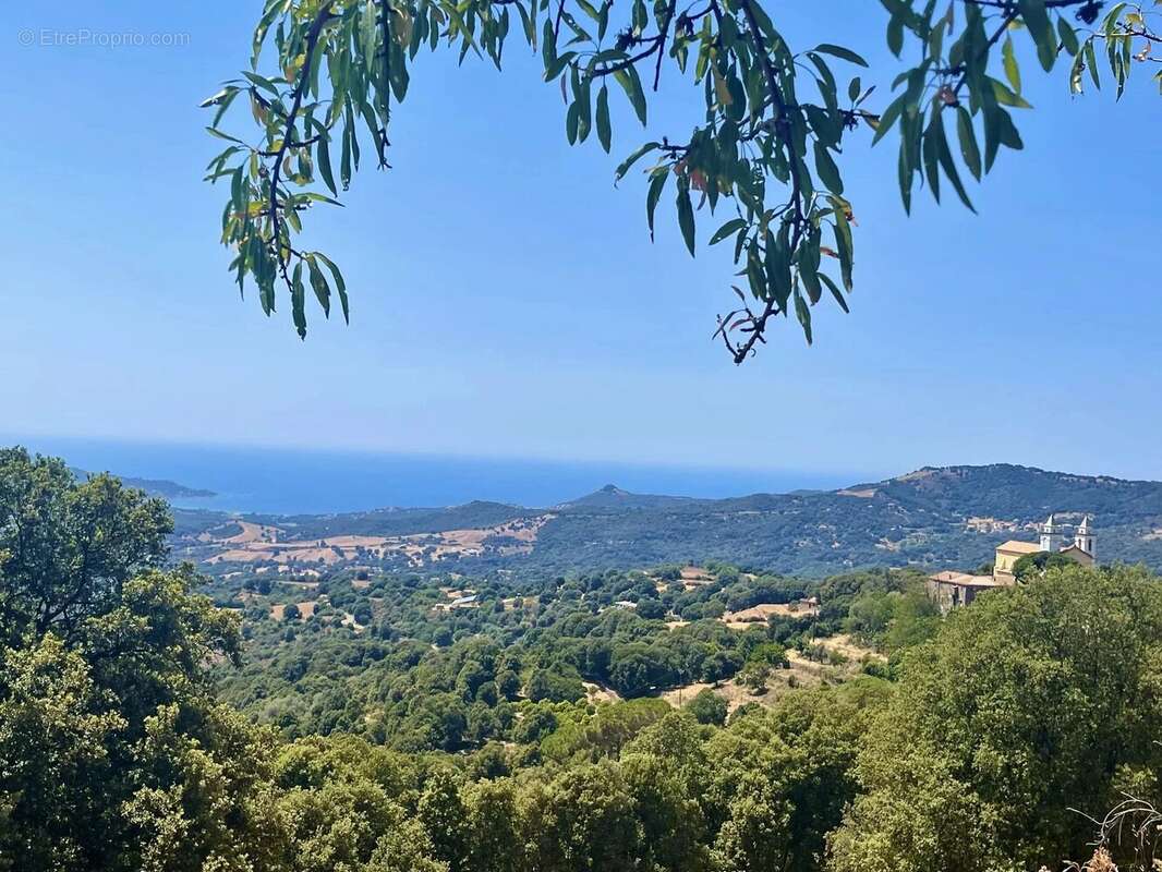 Maison à SARI-D'ORCINO