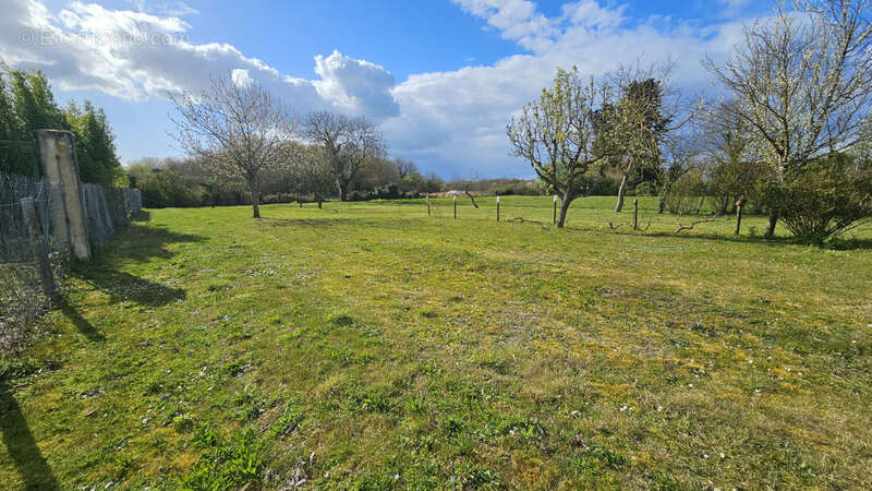 Terrain à CHANNAY-SUR-LATHAN