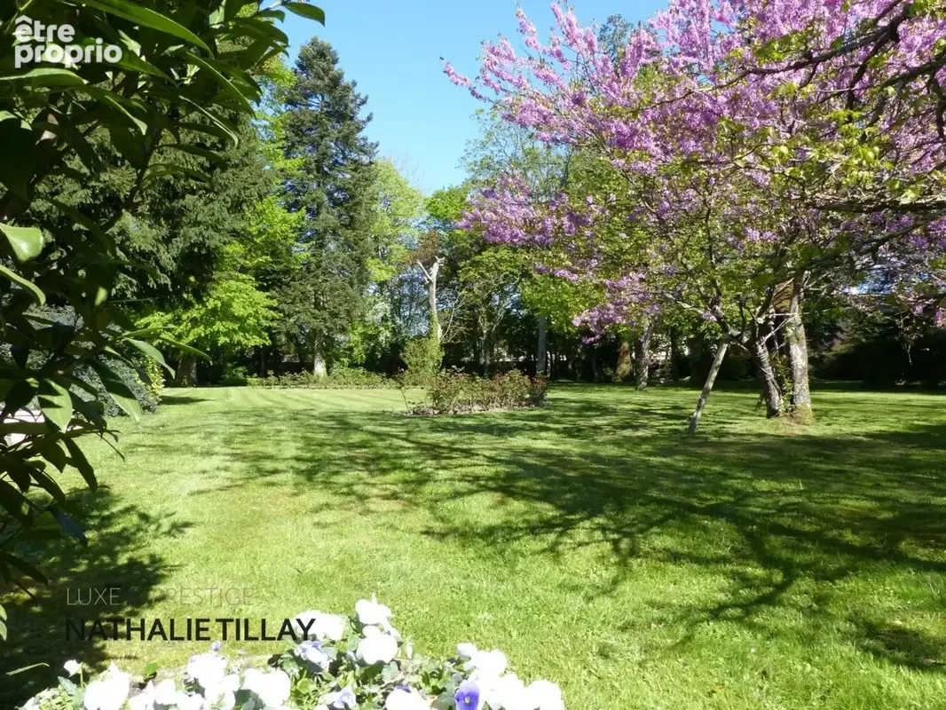 Saint-Jean-le-Blanc, proche Orleans, à vendre, maison de Maitre du XIXème de 423 m² habitables, avec piscine, parc arboré de 4 6 - photo 21