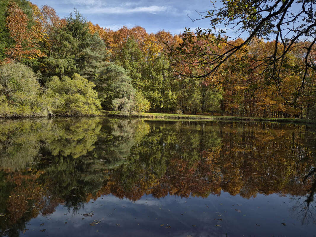 20251031_105848 - Terrain à PIEGUT-PLUVIERS