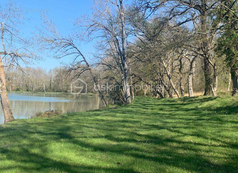 Domaine d’Exception de 139 ha à 50 mn de Toulouse - photo 11