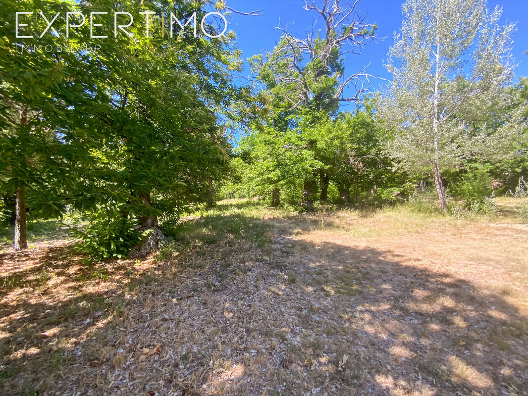 Charmante maison avec plus de 3 000 m2 de terrain arboré   Revest-du-Bion - photo 12