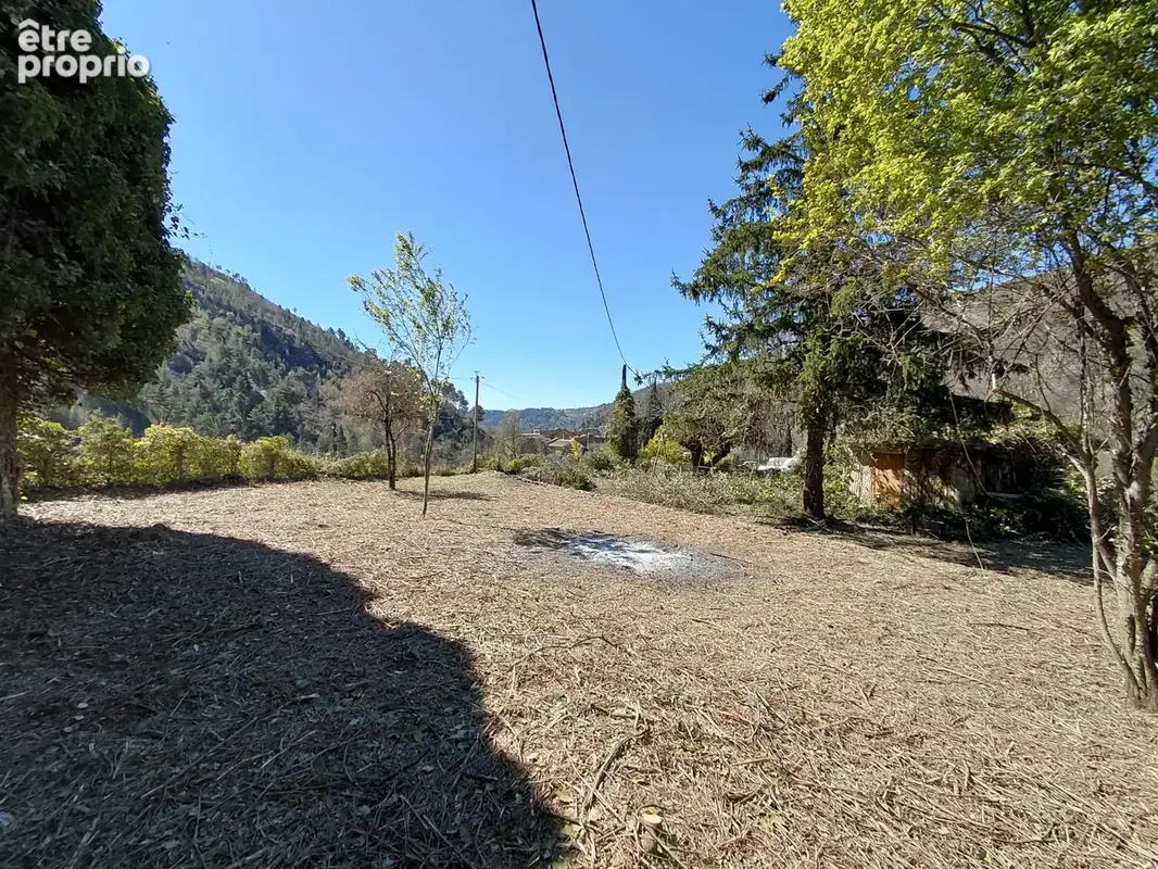 Terrain de loisirs - photo 3