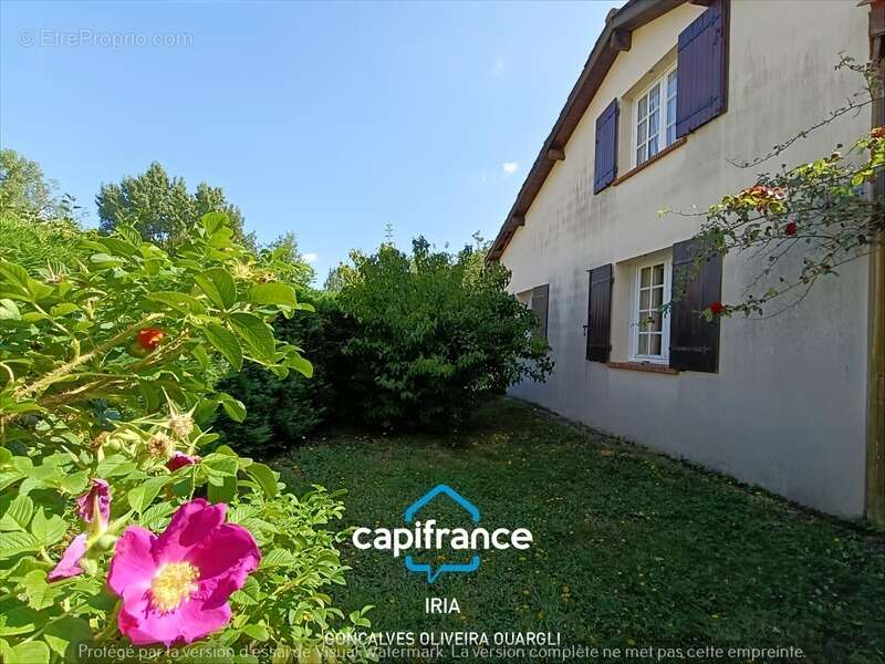 Maison à LE TEMPLE-SUR-LOT