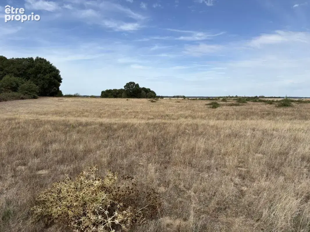 Terrain agricole - photo 10