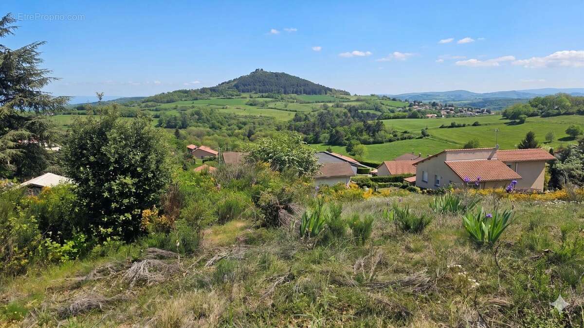 Terrain à CHANONAT