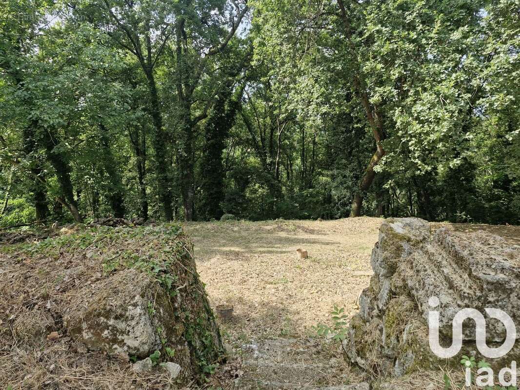 Photo 8 - Maison à SAINT-PEY-DE-CASTETS