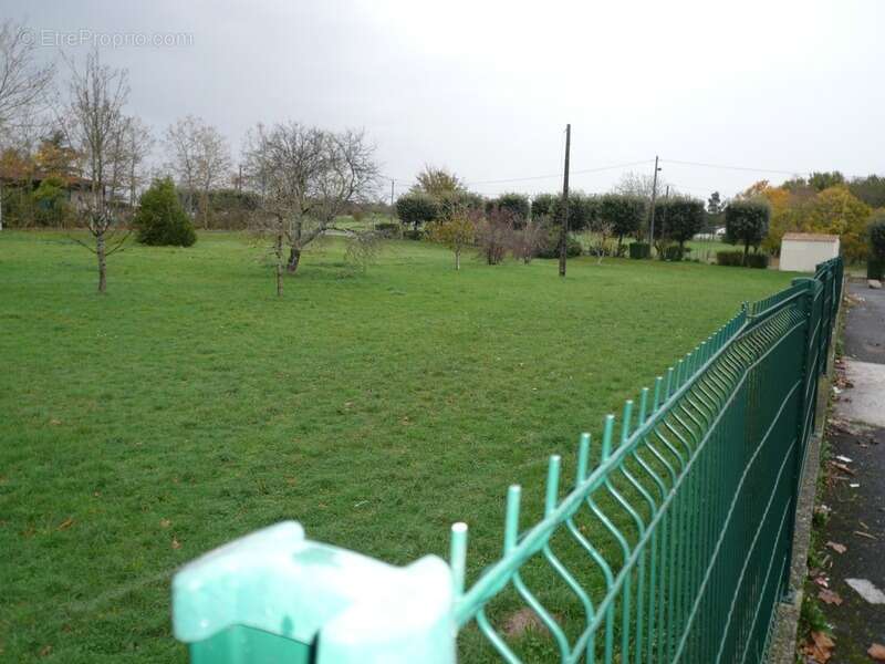 Terrain à CHATEAUBERNARD