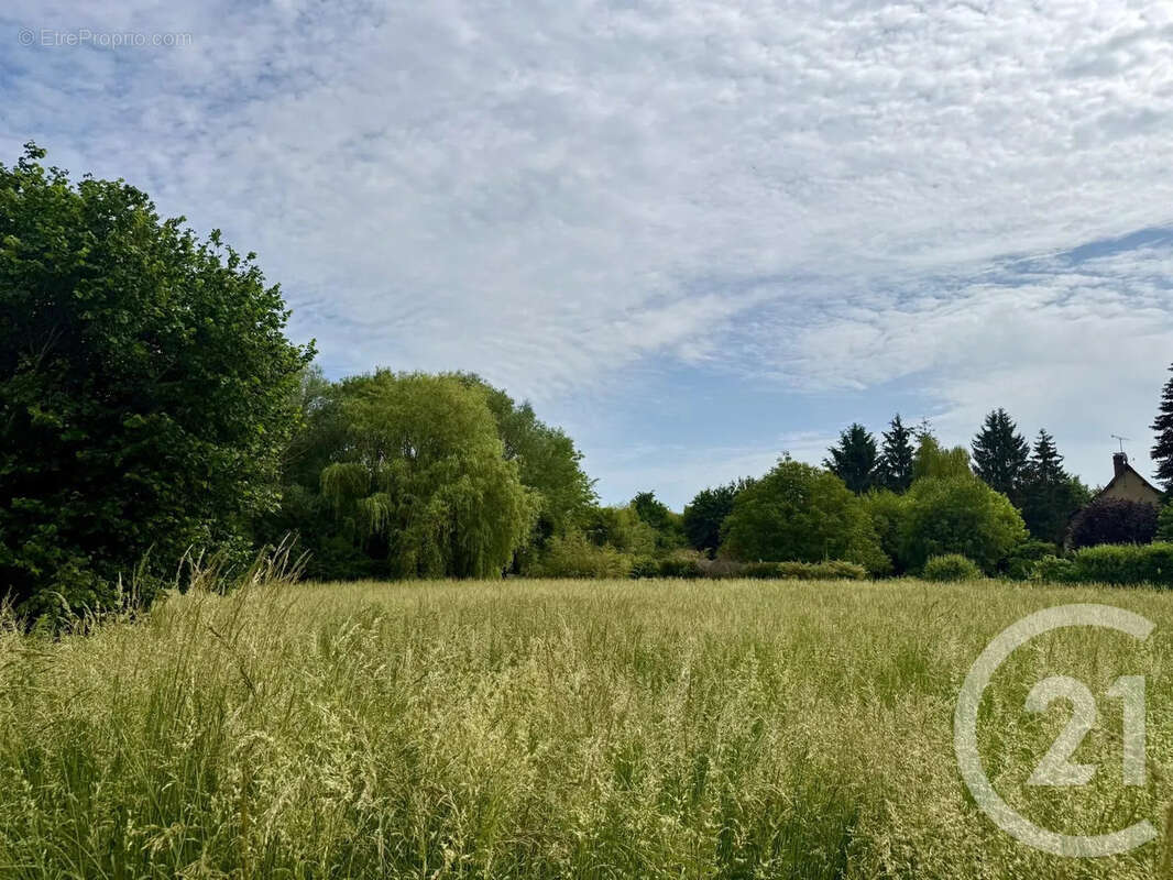 Terrain 1810 m² à Rouvres  - photo 3
