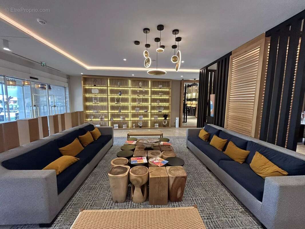 Commerce à SAINT-LAURENT-DU-VAR