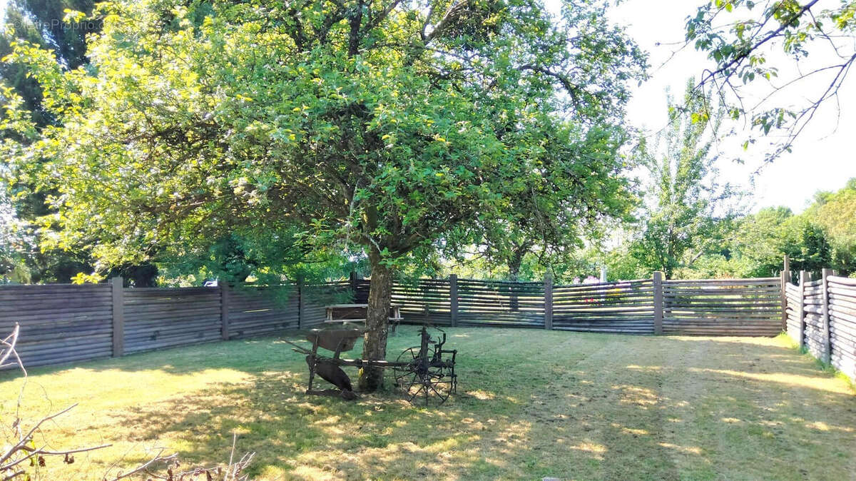 JARDIN - Maison à MESSE
