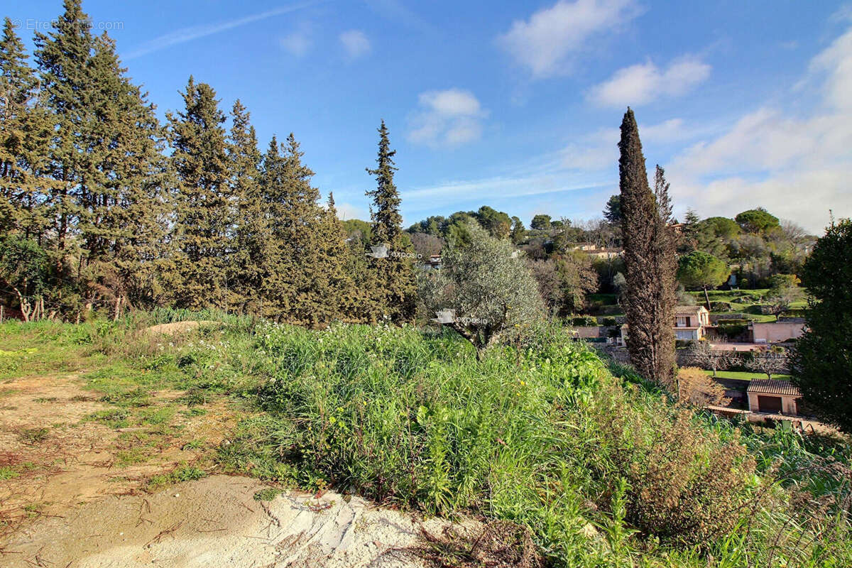 Terrain à MOUGINS