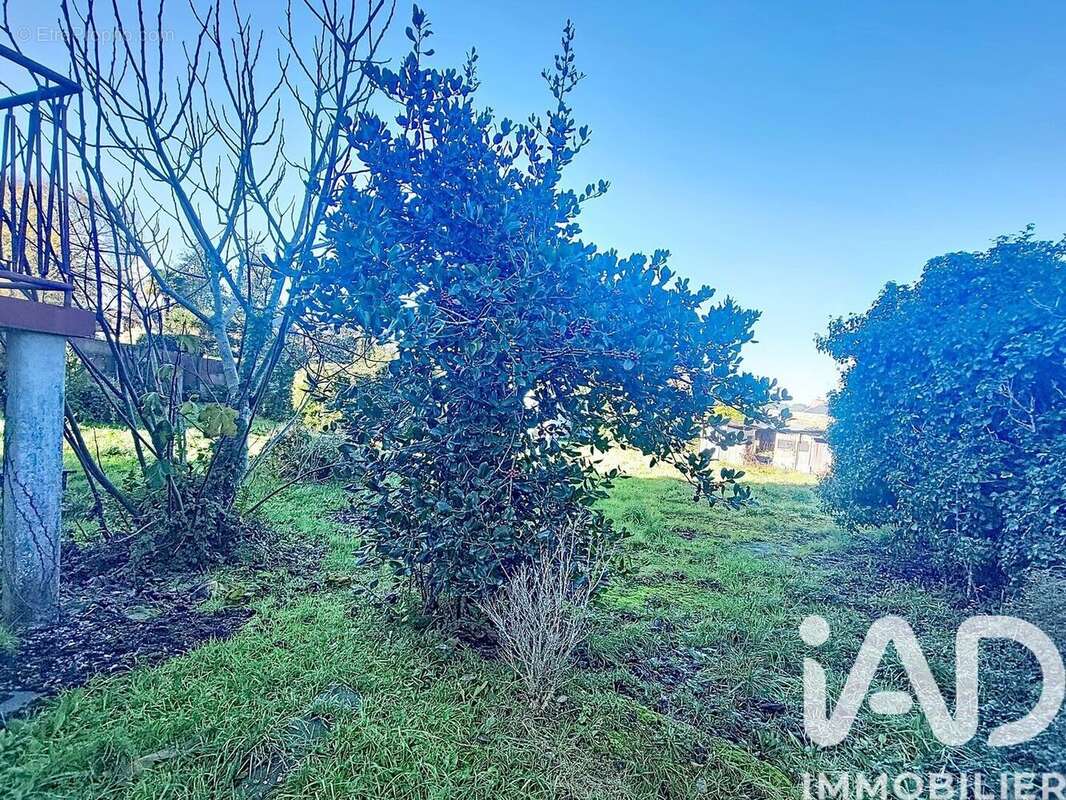 Photo 8 - Maison à BONO