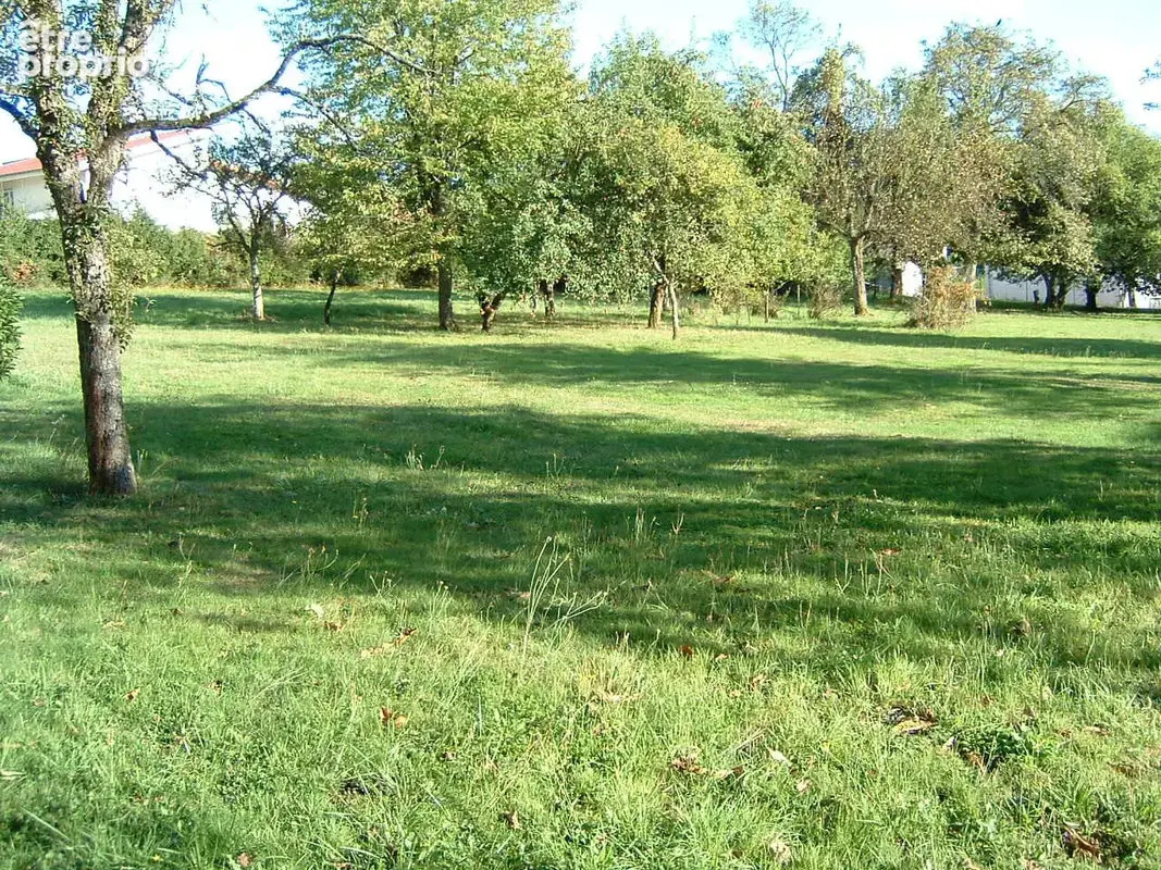 Exclusivite immeuble + grand terrain constructible - photo 4