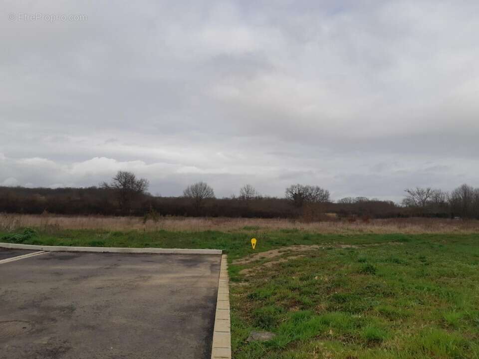 Terrain 1000 m² à Gratentour  - photo 3