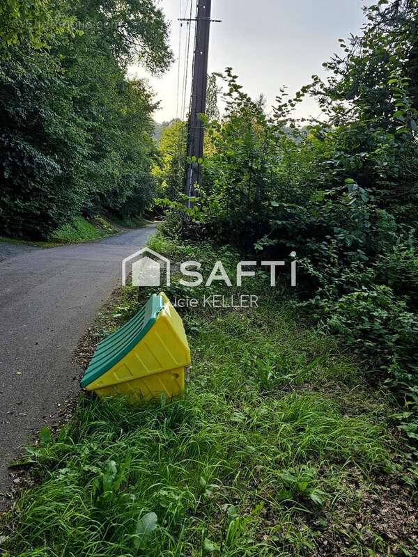 Photo 4 - Terrain à HOMBOURG-HAUT