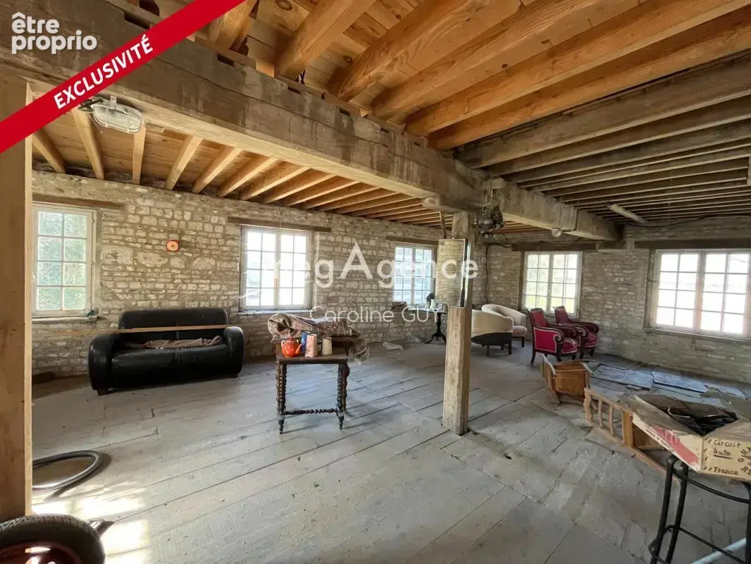 Maison de maître, 267 m2, 5 chambres, jardin et garages - photo 11