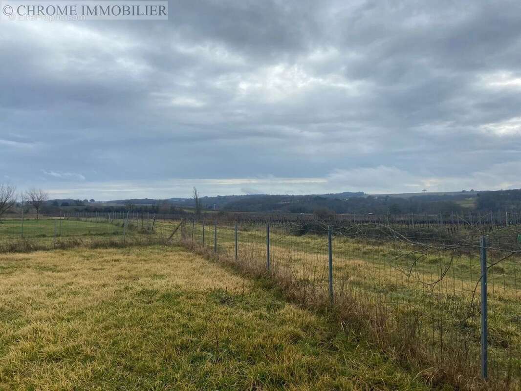 Terrain à PELLEGRUE