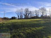 Terrain à SAINT-PIERRE-DE-TRIVISY