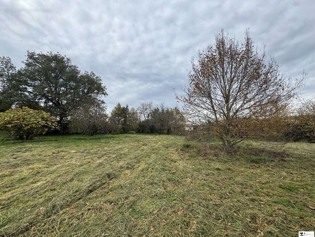 Terrain à GOUTEVERNISSE